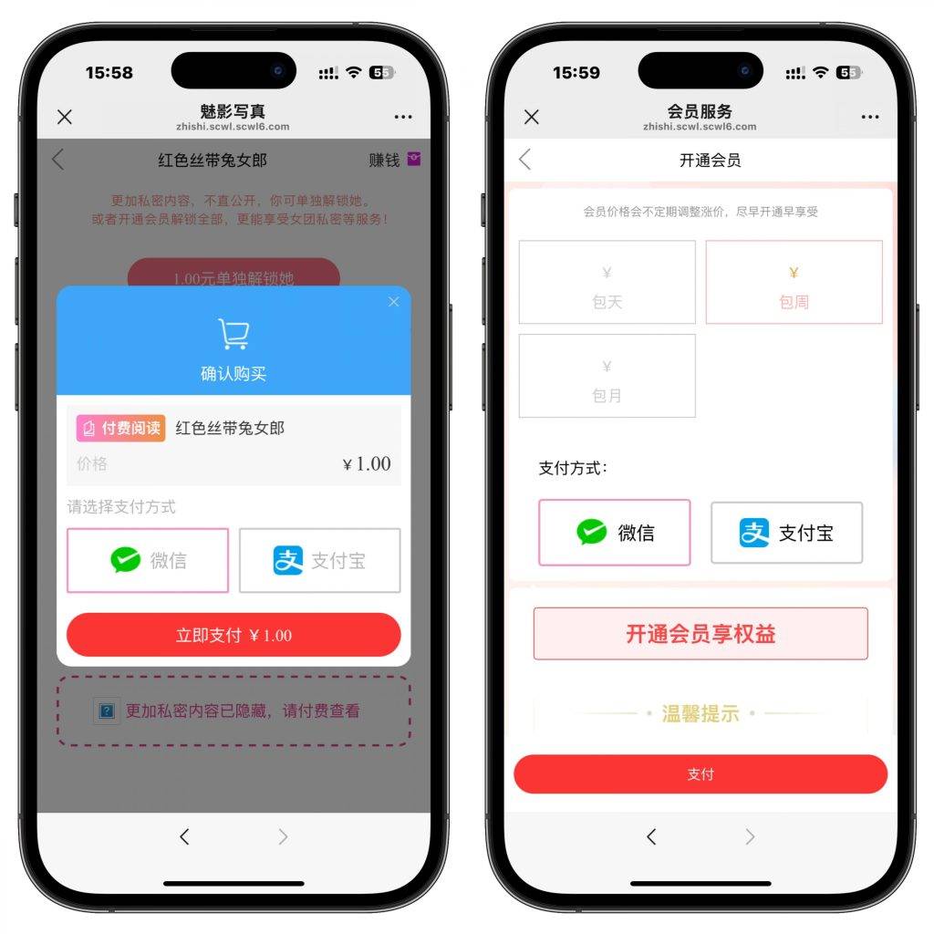 图片[5]-（亲测源码）2025年最新视频写真打赏系统源码，支持三级代理，D盾扫描无加密，附带搭建教程，下单立即赠送1G的精美写真（包含源码包+文字、视频搭建教程）-宋辞云创